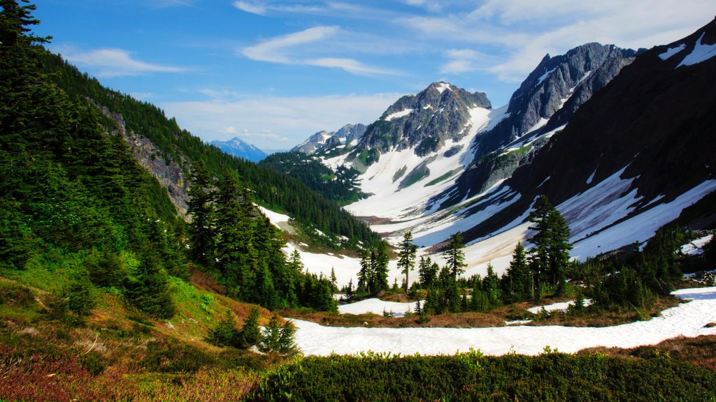 North Cascades National Park mostrando montanhas, cenas tranquilas e neve