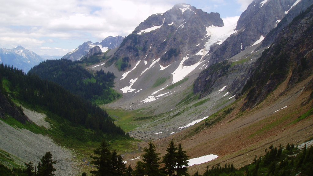 Parc national de North Cascades qui includes scènes tranquilles, panoramas et montagnes