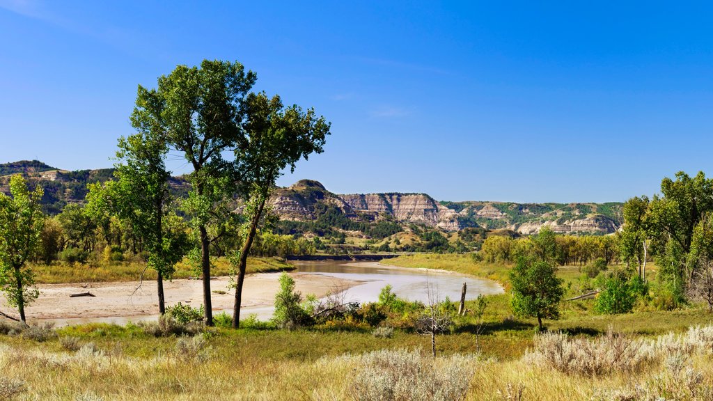 Parque Nacional Theodore Roosevelt mostrando vista panorámica y escenas tranquilas