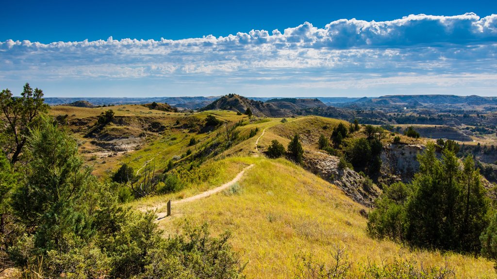 Theodore Roosevelt National Park featuring tranquil scenes and landscape views