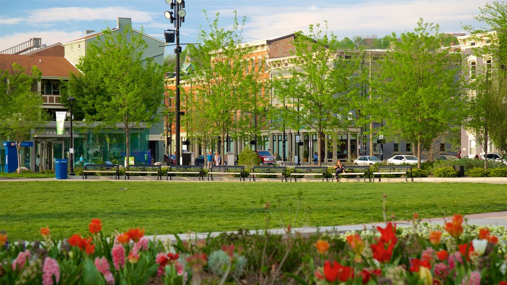 Washington Park bevat een tuin en bloemen