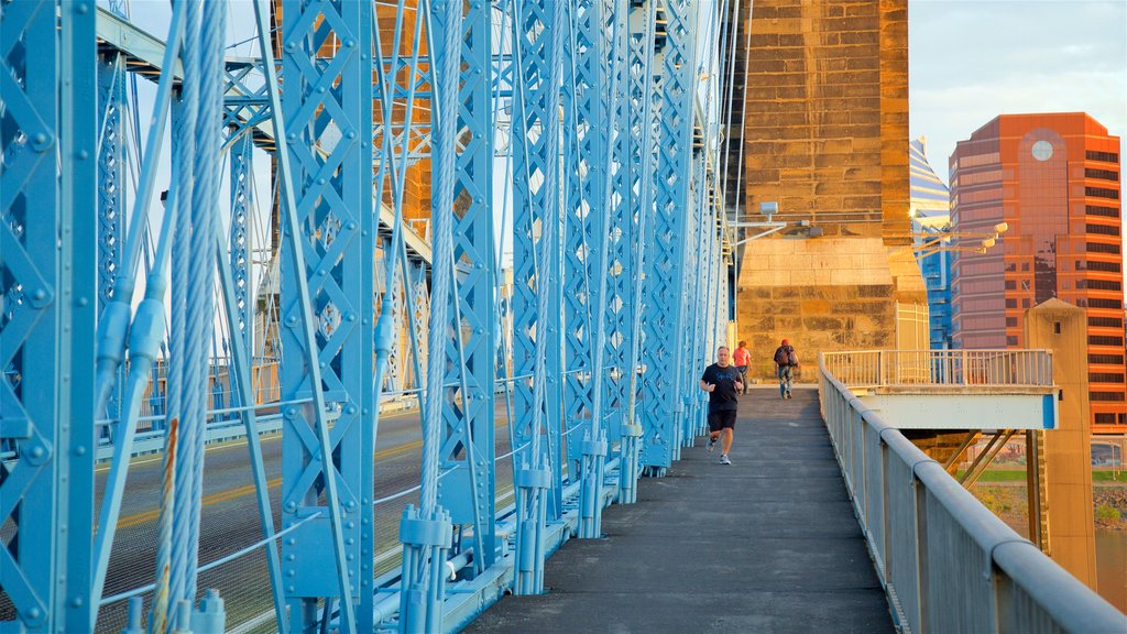 John A. Roebling Suspension Bridge featuring a bridge, hiking or walking and heritage elements