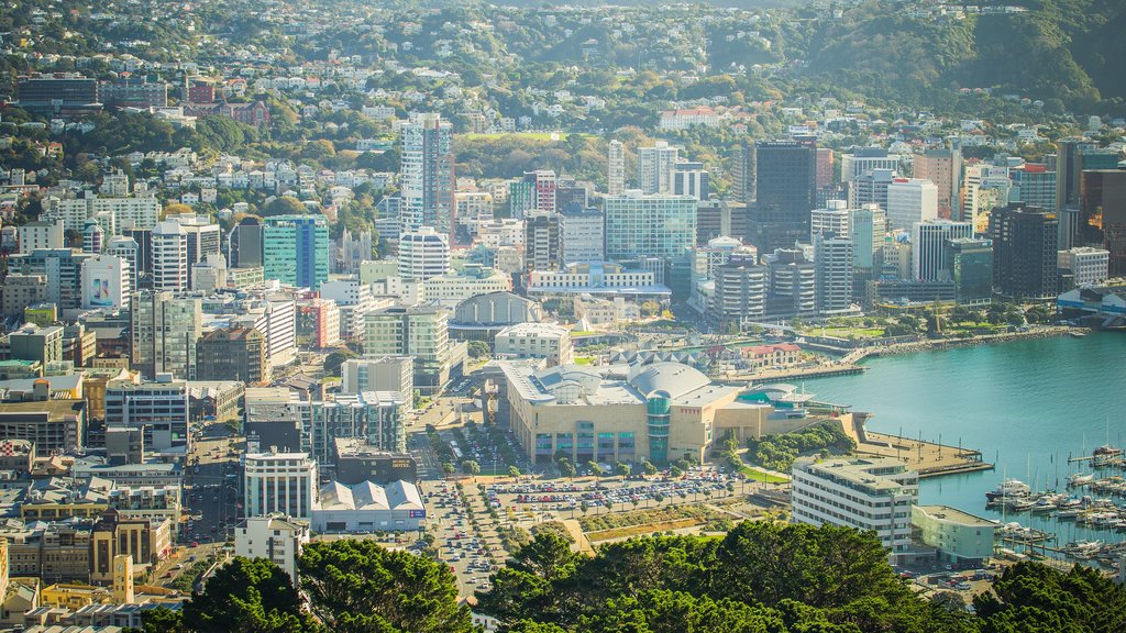 Te Papa