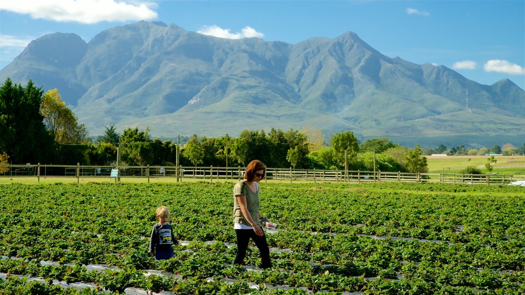 Redberry Farm en ook een gezin