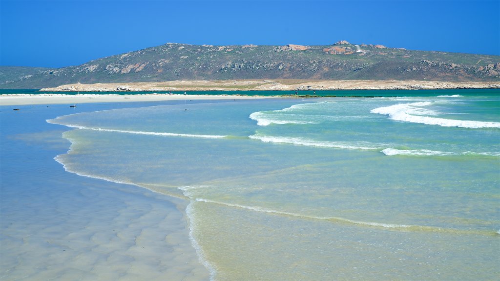 Langebaan showing surf, general coastal views and tranquil scenes