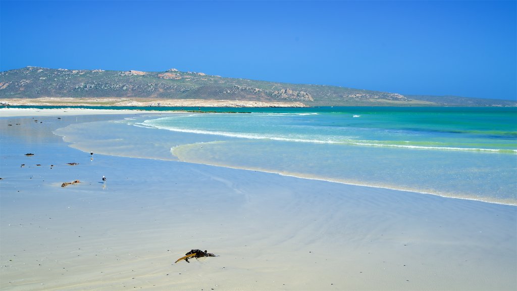 Langebaan som viser en strand, fredfyldte omgivelser og udsigt over kystområde