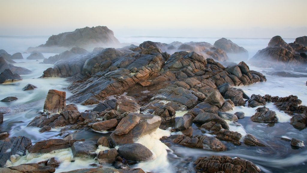 Langebaan mostrando niebla o neblina y costa rocosa