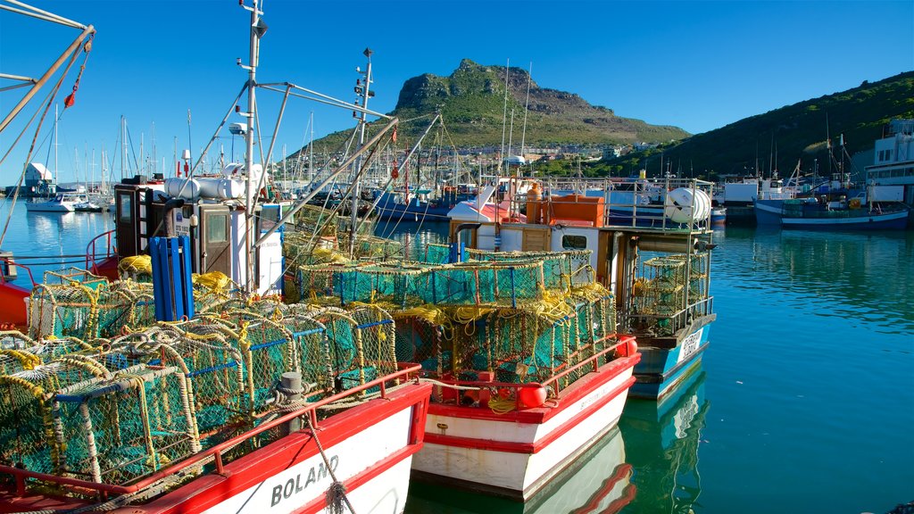 Hout Bay Beach showing a marina