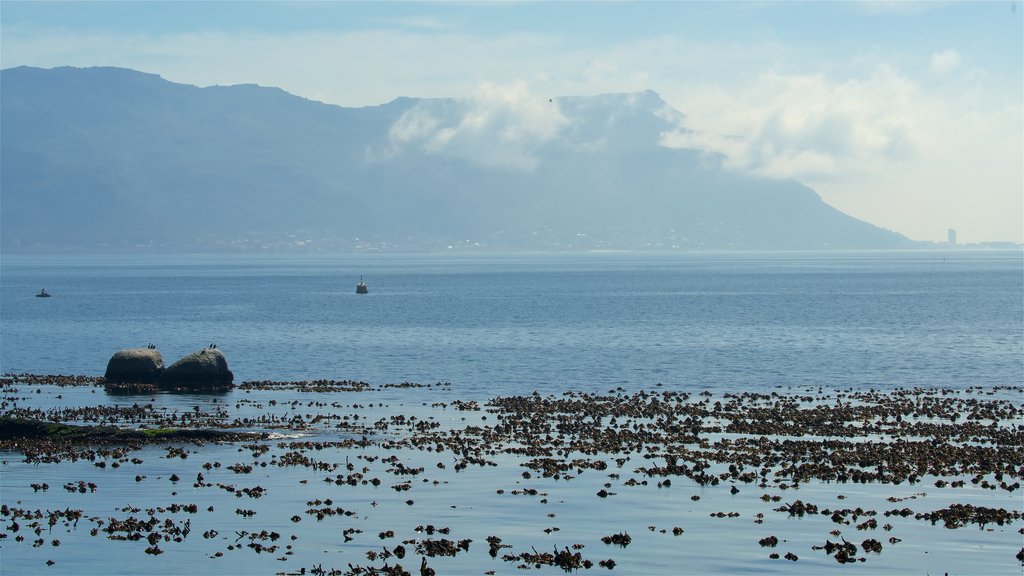 Simon\'s Town mettant en vedette brume ou brouillard et côte rocheuse