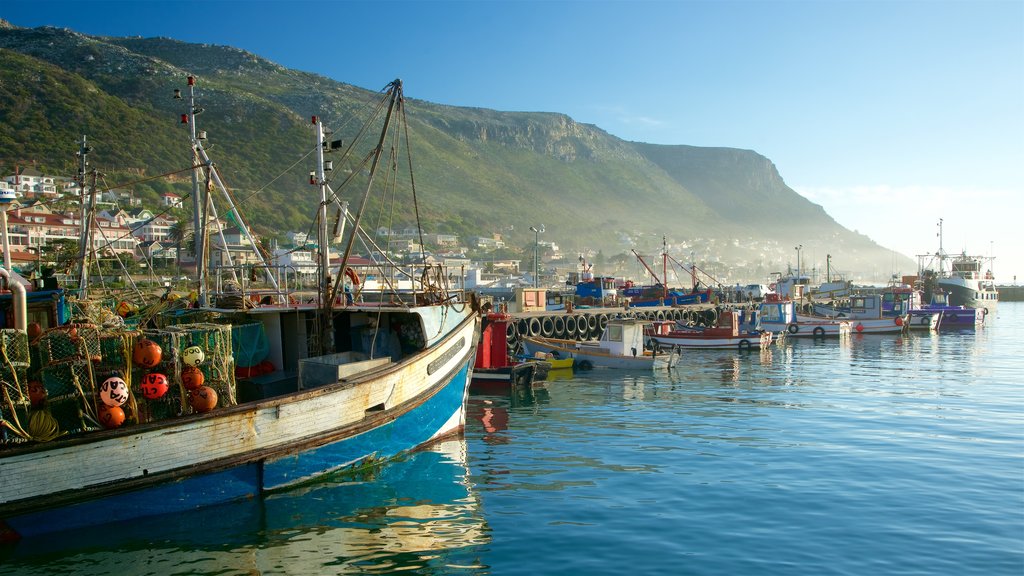 Kalk Bay showing a bay or harbor, a coastal town and boating