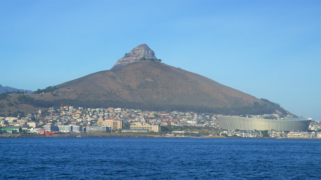 Cape Town Stadium showing a city