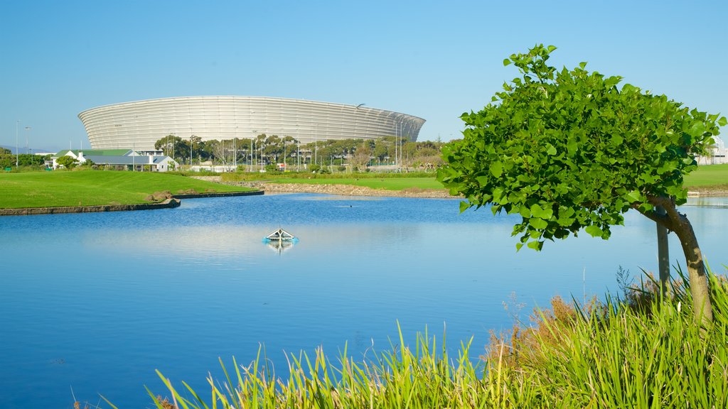 Cape Town Stadium featuring a lake or waterhole