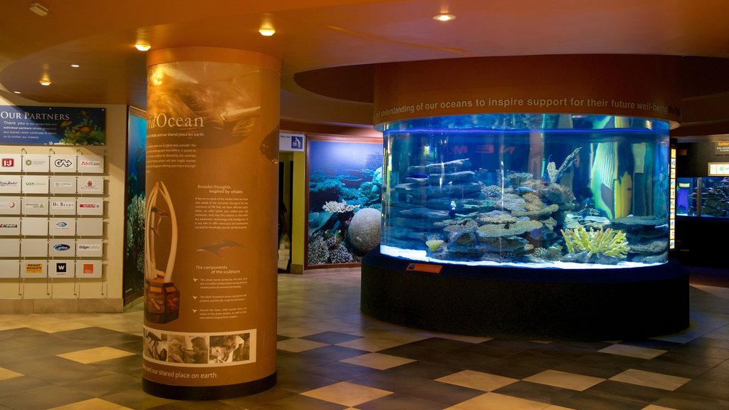 Two Oceans Aquarium qui includes vie marine