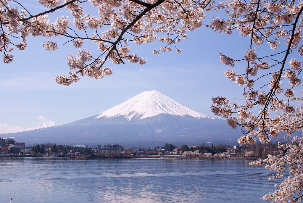 1280px-Lake_Kawaguchiko_Sakura_Mount_Fuji_3.jpg?1579186952