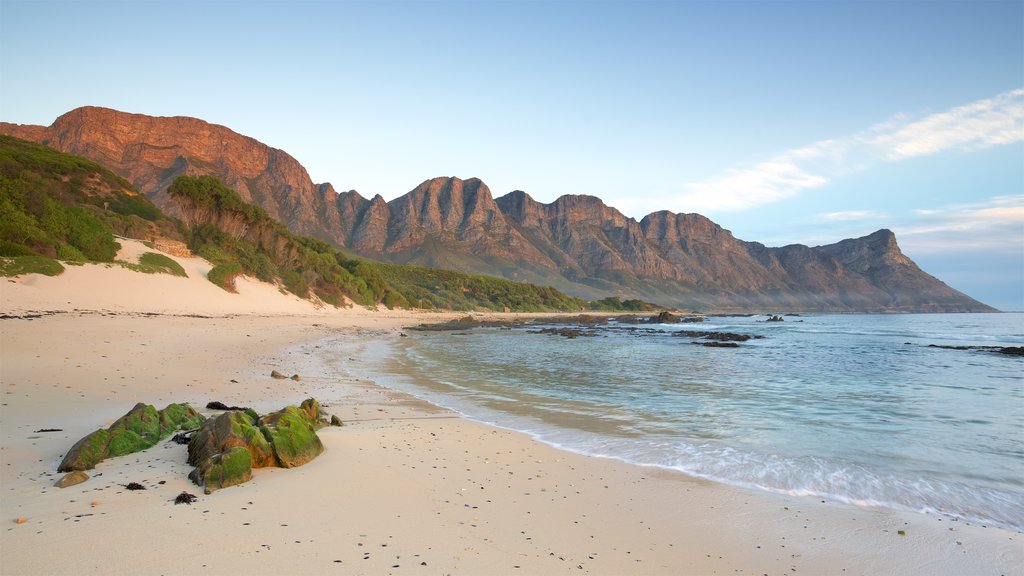 Playa de la bahía de Kogel que incluye una playa de arena