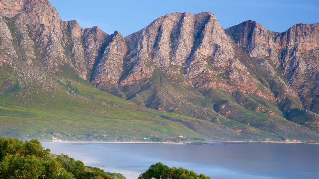 Kogel 灣海灘 呈现出 岩岸