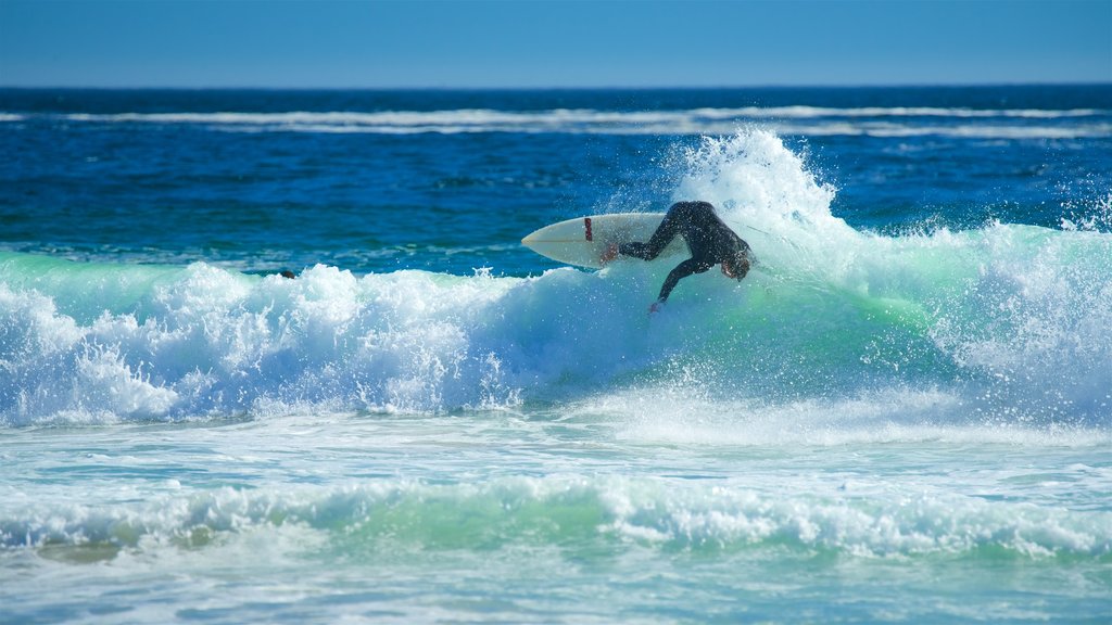 Llandudno Beach showing waves and surfing