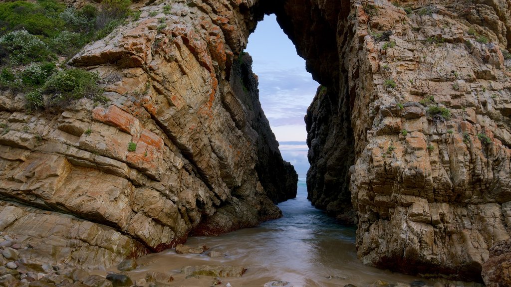 Arch Rock which includes rocky coastline