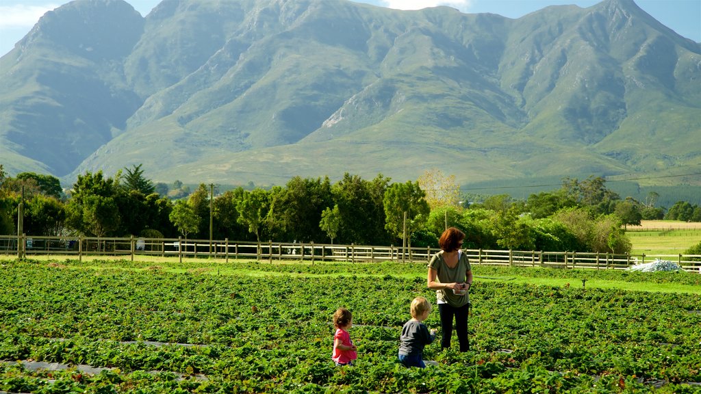 Redberry Farm showing farmland as well as a family