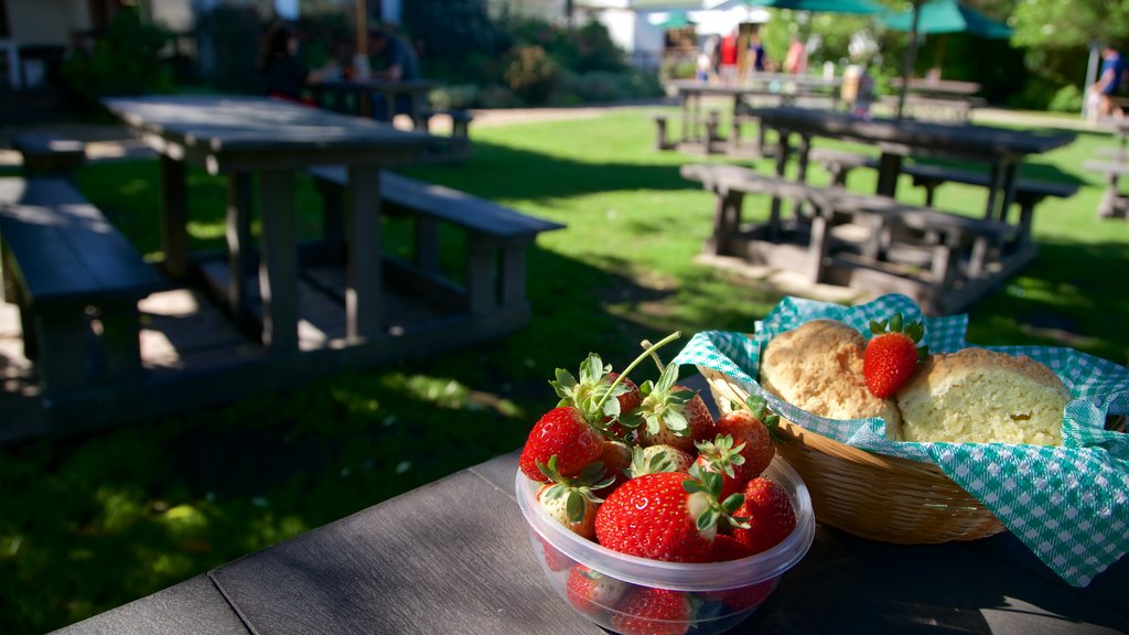 Redberry Farm showing food