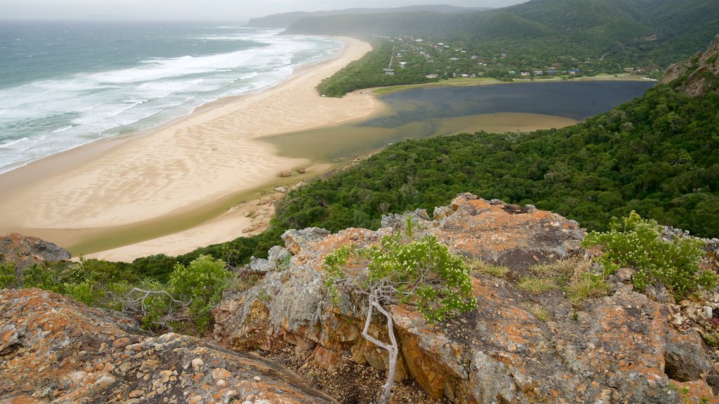 Natures Valley Beach caracterizando uma praia de areia, paisagens litorâneas e paisagem