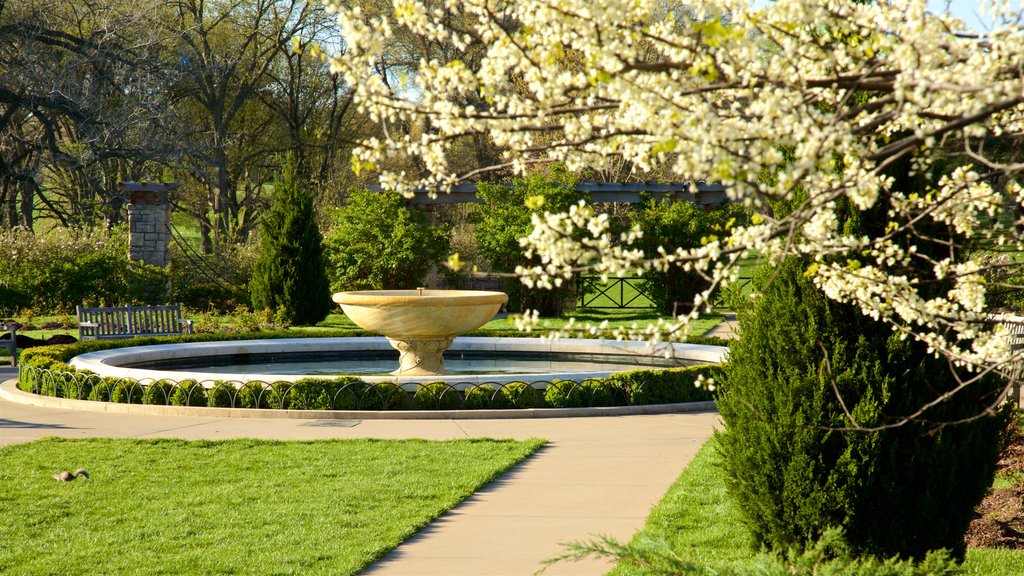 Loose Park showing a fountain, a park and flowers