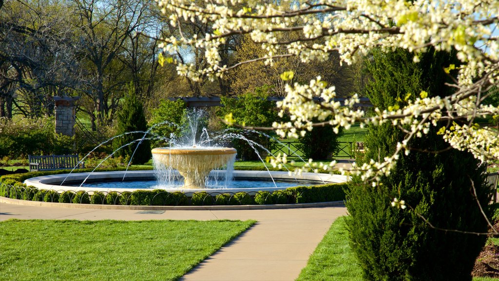 Loose Park som omfatter en park, blomster og et springvand