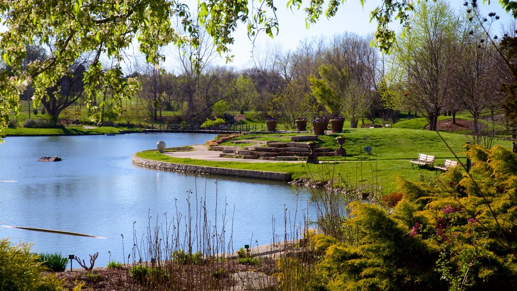 Kansas City mostrando um parque e um lago