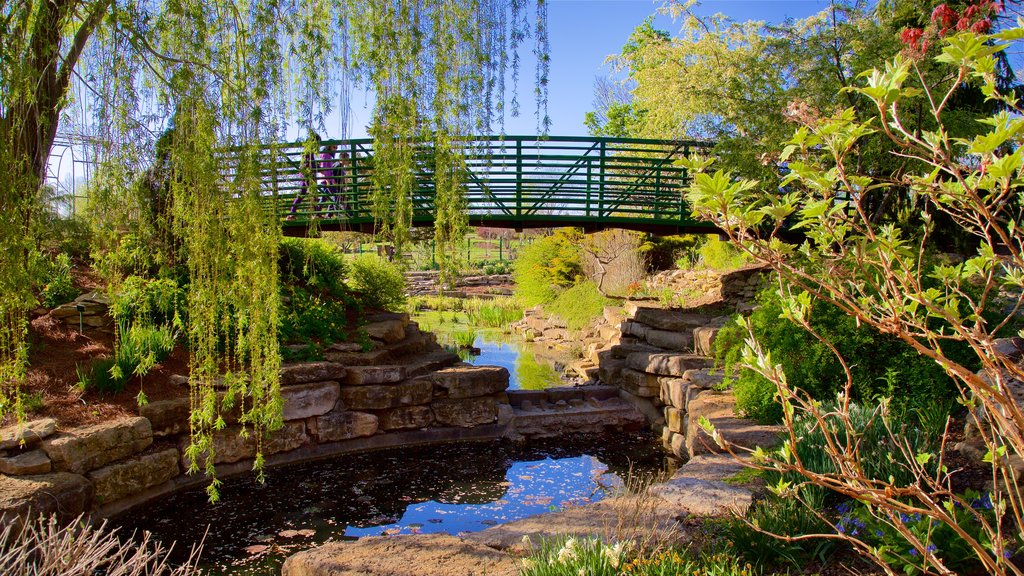 Kansas City ofreciendo un río o arroyo, un puente y jardín