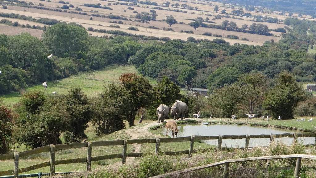 Port_Lympne_44.jpg?1575880158