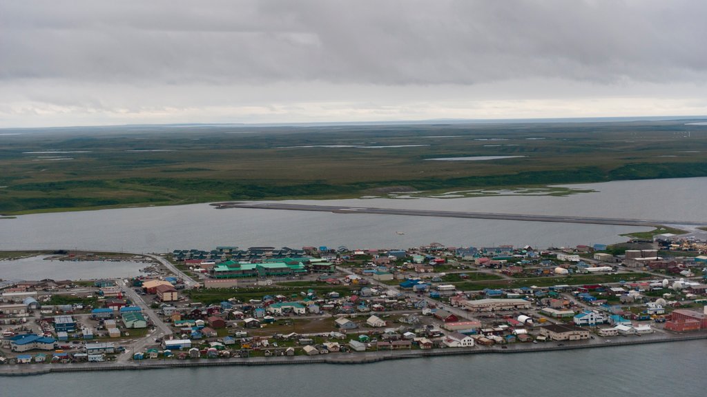 Parque Nacional Kobuk Valley mostrando escenas tranquilas, una pequeña ciudad o aldea y vista panorámica