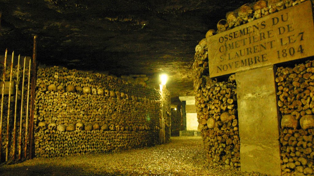 Paris Catacombs featuring a cemetery, signage and interior views