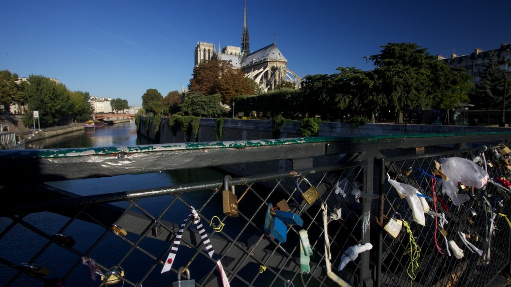 Notre Dame Cathedral showing a river or creek, a city and a bridge