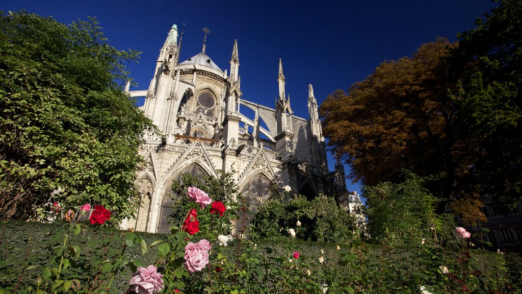 Notre Dame Cathedral showing a church or cathedral, flowers and a garden