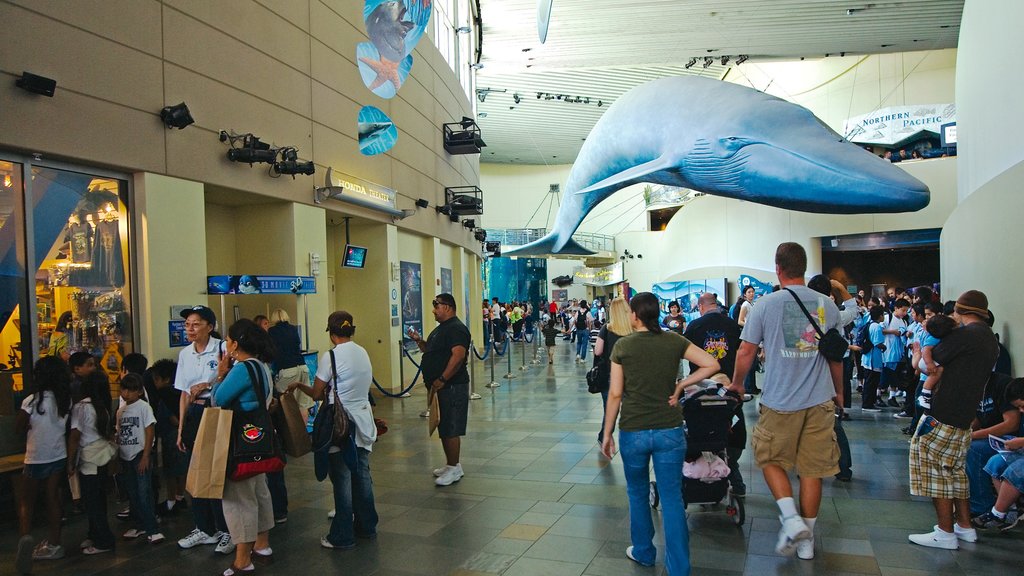 Aquarium of the Pacific which includes marine life and interior views as well as a large group of people