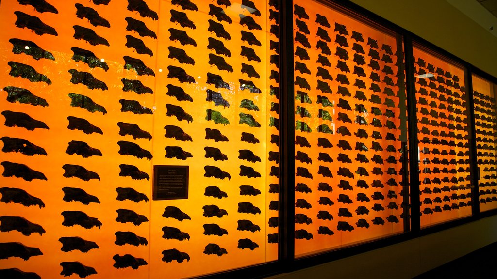 La Brea Tar Pits which includes interior views