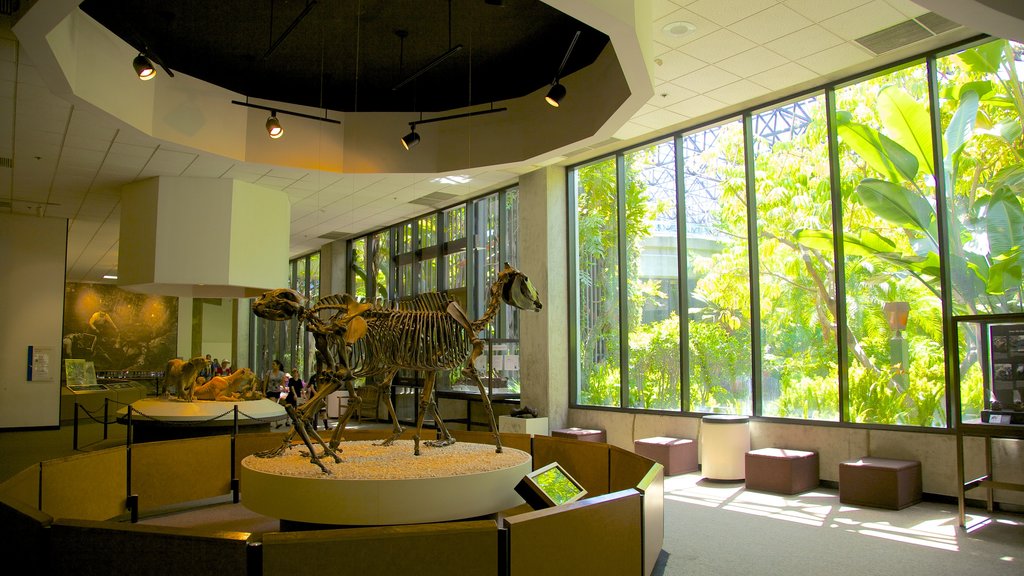 La Brea Tar Pits which includes interior views