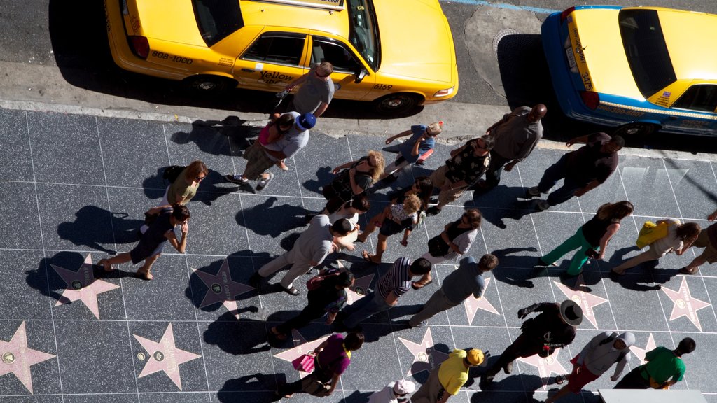 Calçada da Fama de Hollywood que inclui uma cidade e cenas de rua assim como um grande grupo de pessoas