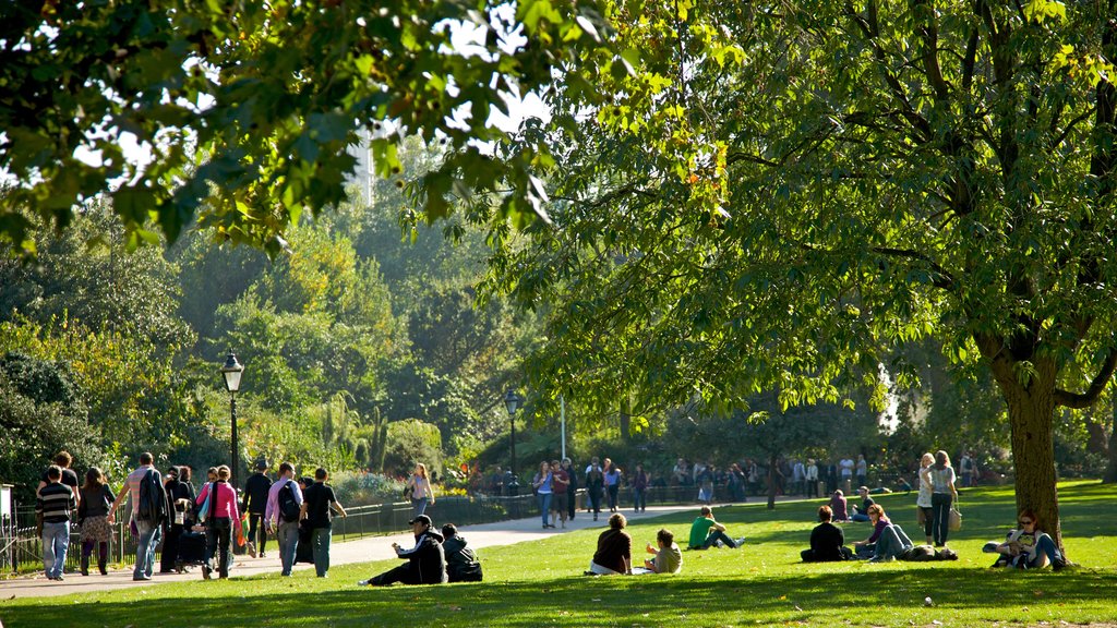 St. James Park showing a garden as well as a large group of people