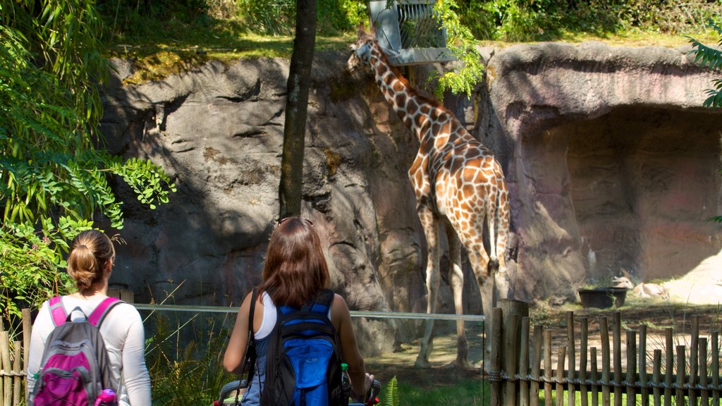 Oregon Zoo caracterizando animais terrestres e animais de zoológico assim como crianças