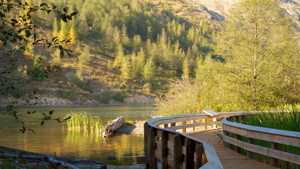 Mount St. Helens mostrando uma ponte, montanhas e um lago ou charco