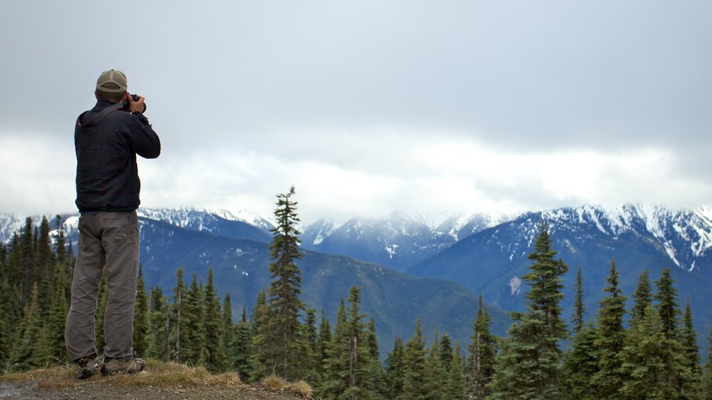 Olympic National Park showing hiking or walking, snow and mountains