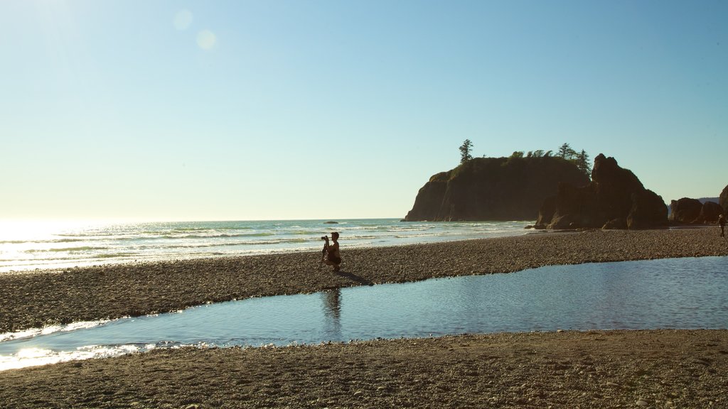 Olympic National Park inclusief algemene kustgezichten, landschappen en een zandstrand