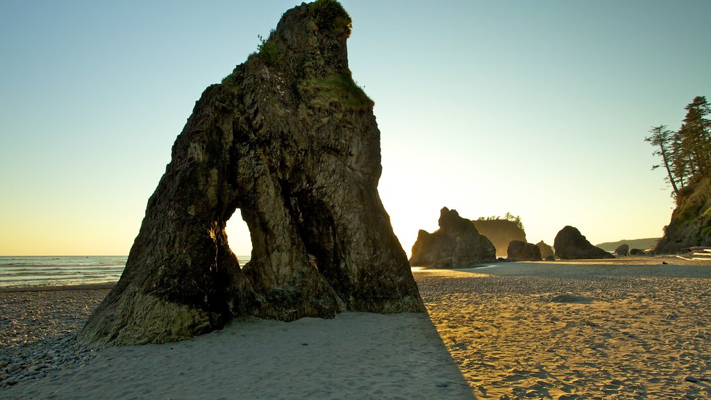 Olympic Nationalpark som omfatter en sandstrand og udsigt over landskaber