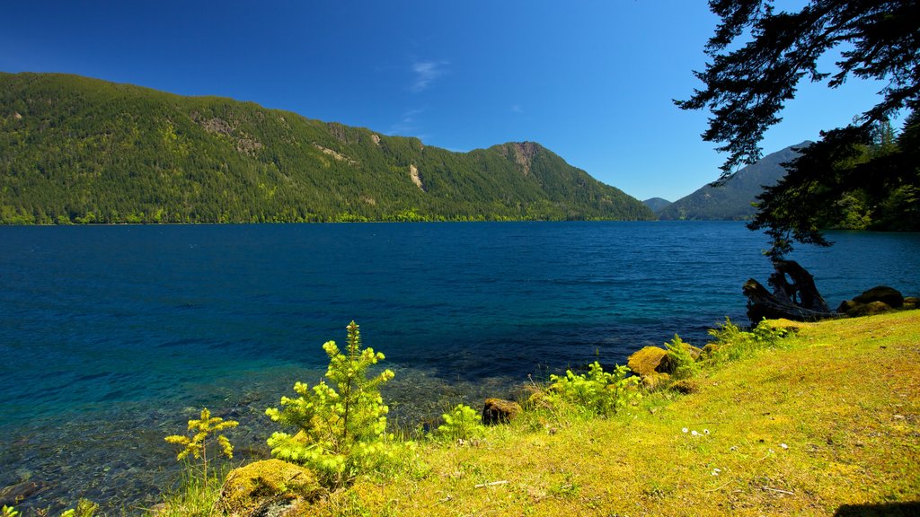 Olympic National Park showing a lake or waterhole, mountains and landscape views