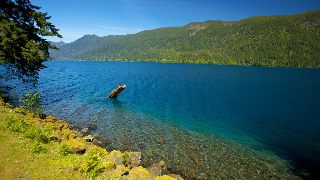 Olympic Nationalpark som viser en sø eller et vandhul og udsigt over landskaber