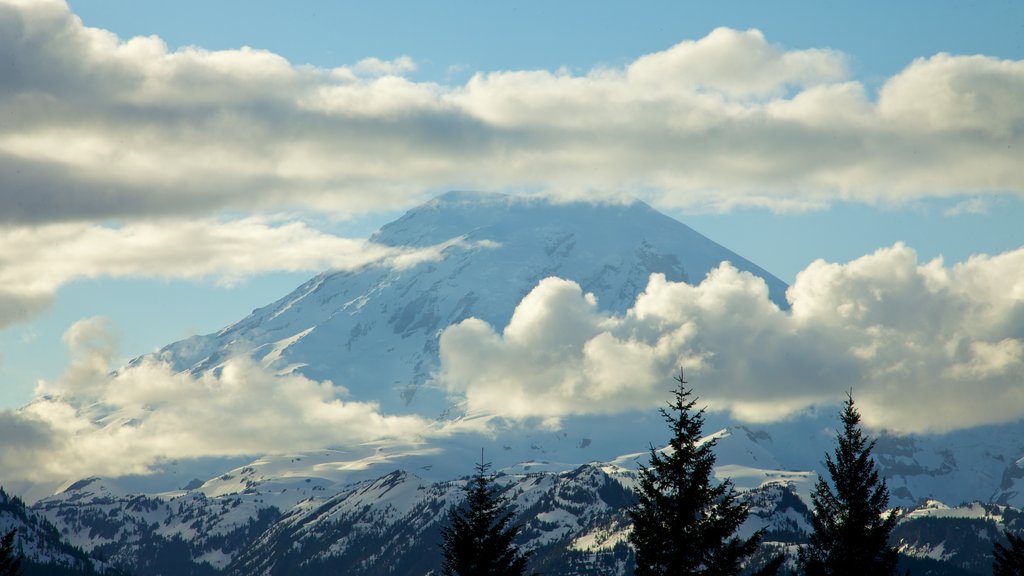 Mount Rainier National Park featuring landscape views, snow and mountains