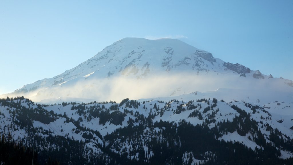 Mount Rainier National Park showing snow, mountains and mist or fog