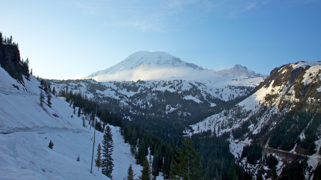 Mount Rainier National Park showing landscape views, snow and mountains