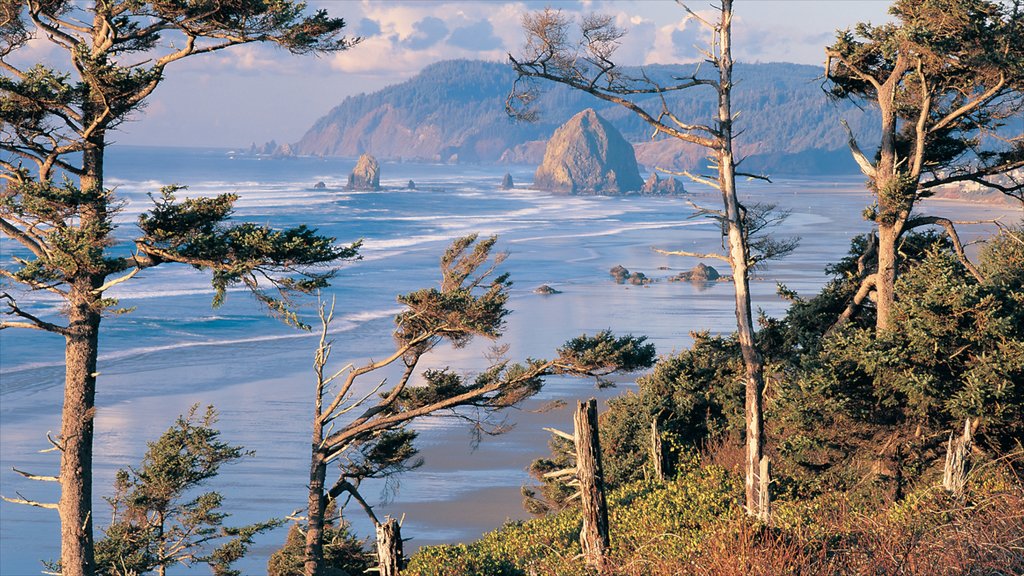 Cannon Beach que inclui paisagem e uma praia de areia